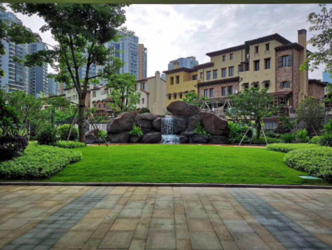 1565775159540032472.png 2.png