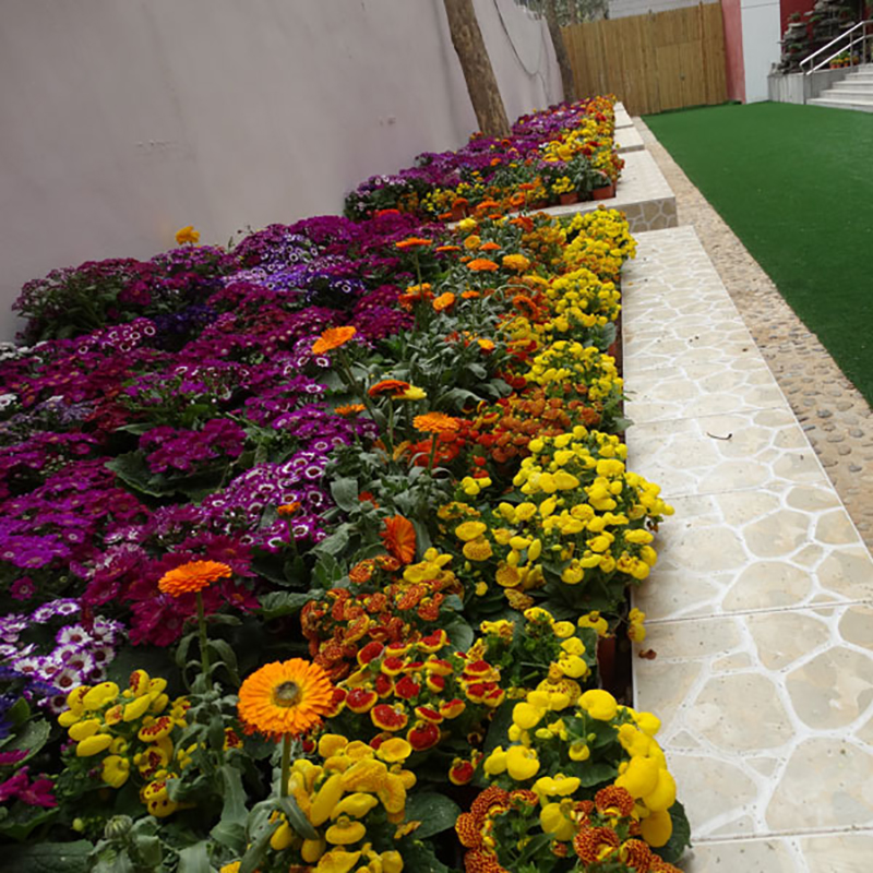 1586833048418005551.jpg 1586833048418005551.jpg