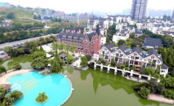 1586835316775022506.jpg 1586835316775022506.jpg